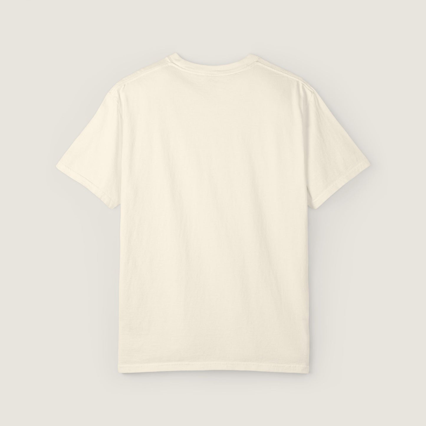 Ravenwood Hollow Apparel | Unisex Garment-dyed Tee | "This isn't about sides"