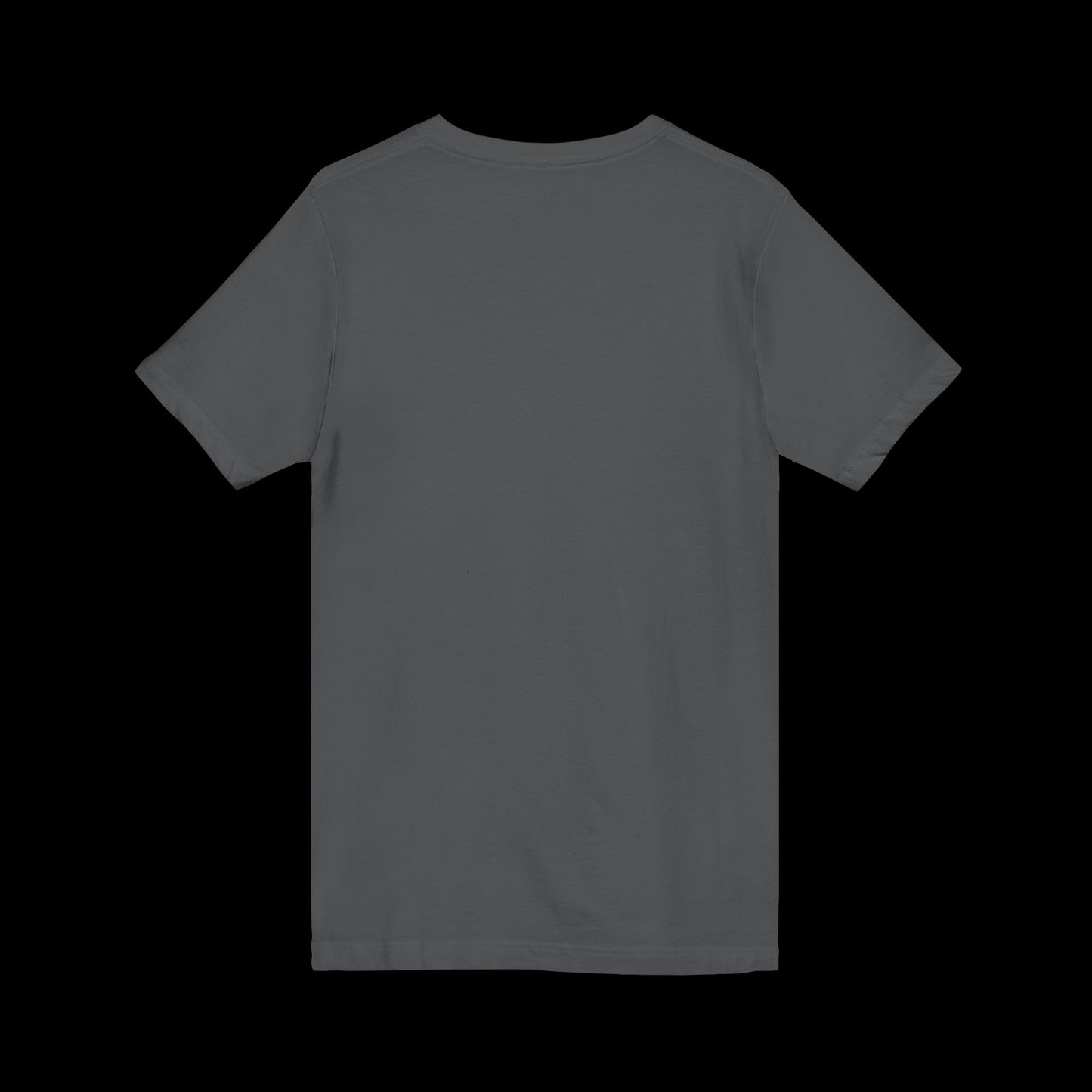 Swanee's Pub Apparel | Bella+Canvas Unisex Jersey V-Neck Tee