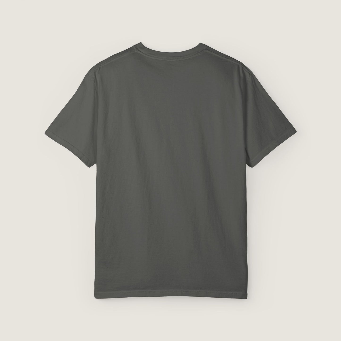 Ravenwood Hollow Apparel | Unisex Garment-dyed Tee | "Have you read the files?"