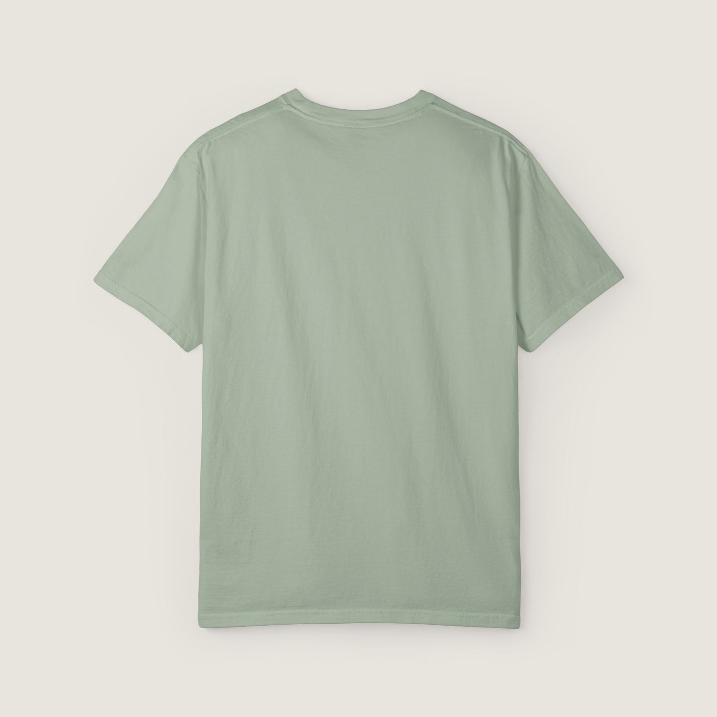Ravenwood Hollow Apparel | Unisex Garment-dyed Tee | "Have you read the files?"