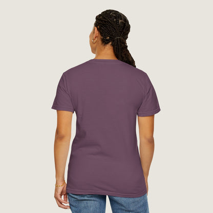 Ravenwood Hollow Apparel | Unisex Garment-dyed Tee | "This isn't about sides"