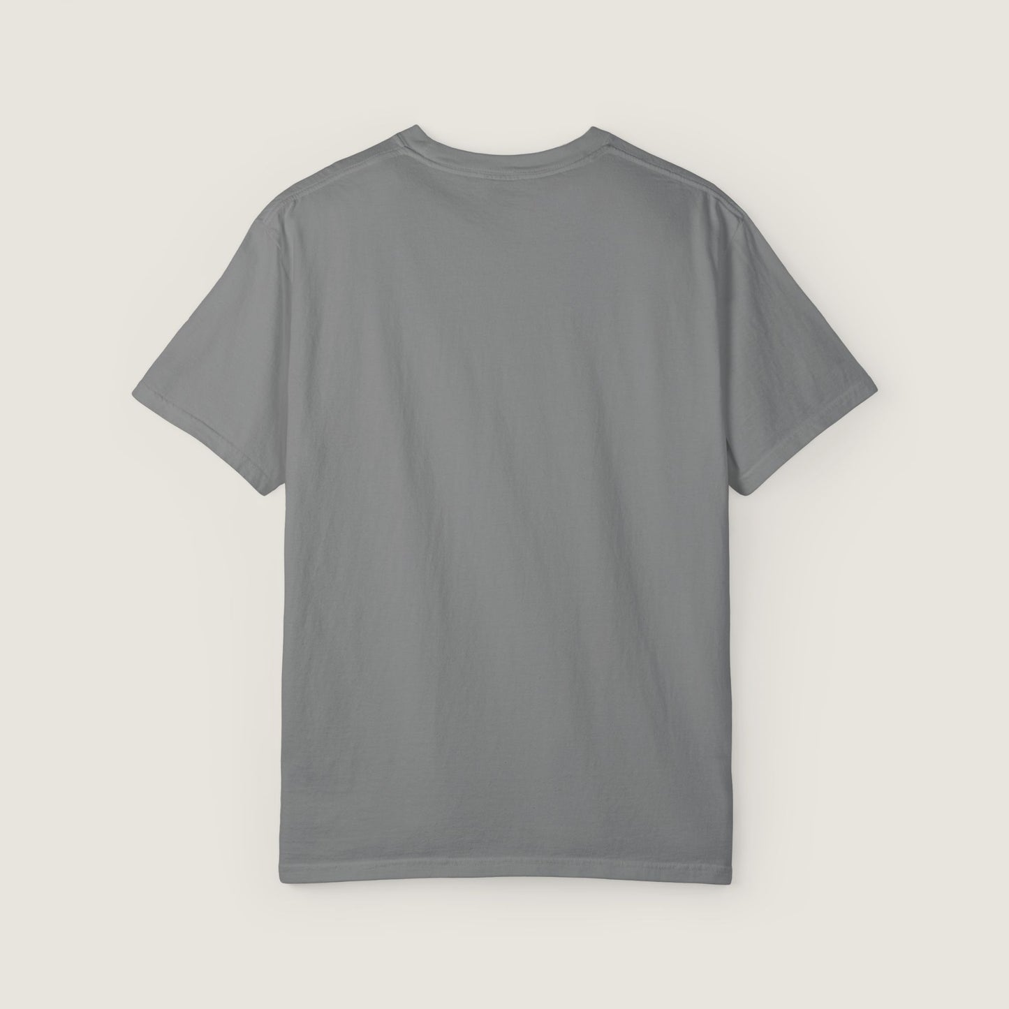 Ravenwood Hollow Apparel | Unisex Garment-dyed Tee | "This isn't about sides"