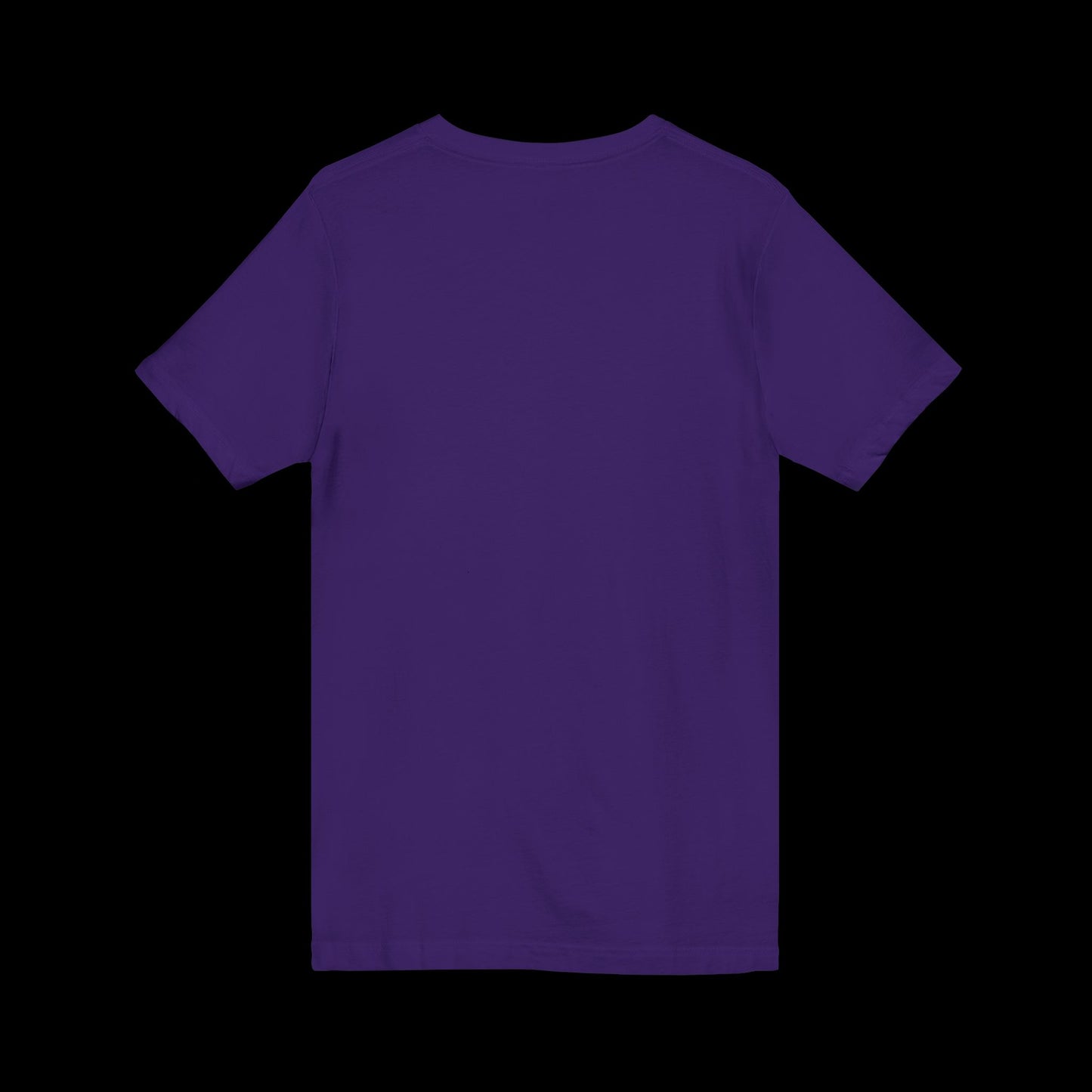 Swanee's Pub Apparel | Bella+Canvas Unisex Jersey V-Neck Tee