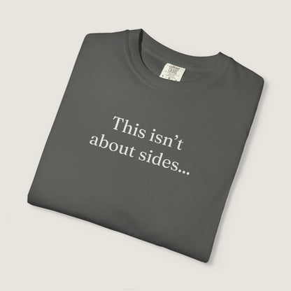 Ravenwood Hollow Apparel | Unisex Garment-dyed Tee | "This isn't about sides"