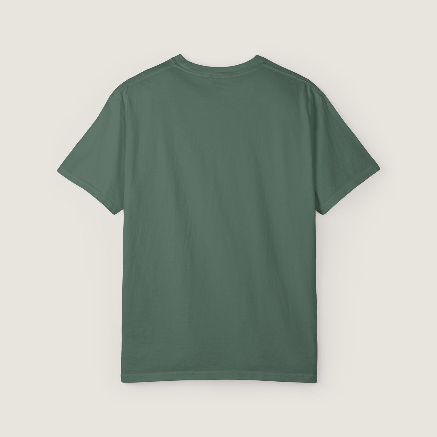 Ravenwood Hollow Apparel | Unisex Garment-dyed Tee | "This isn't about sides"