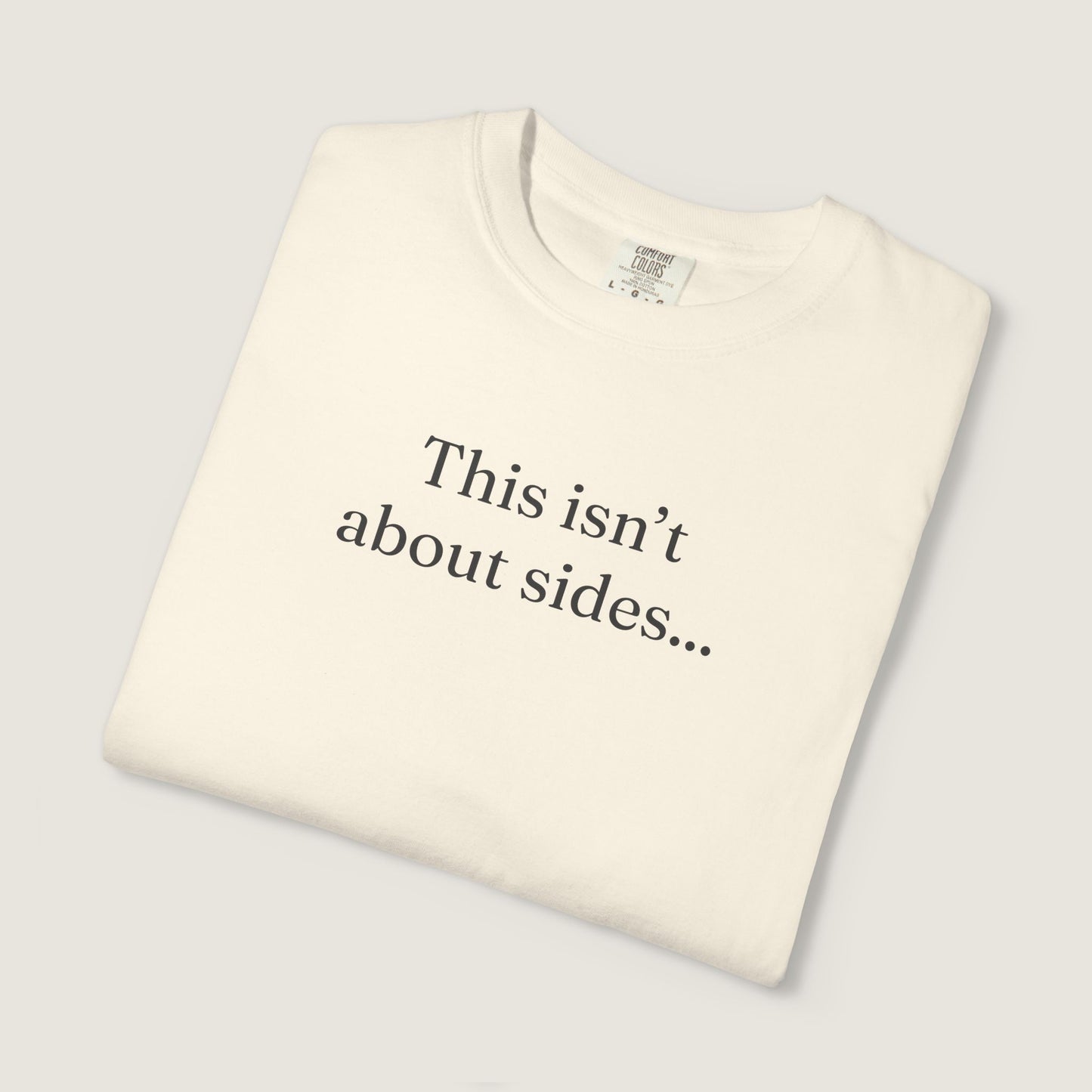 Ravenwood Hollow Apparel | Unisex Garment-dyed Tee | "This isn't about sides"